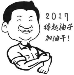 2017撸起袖子加油干！